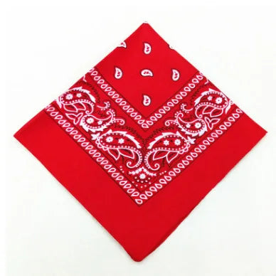 Mandil Bandana Hip Hop  - 54cm Paisley